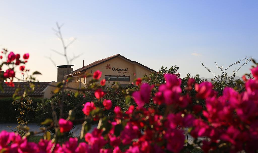 Hotel Origenes Vallenar Dış mekan fotoğraf